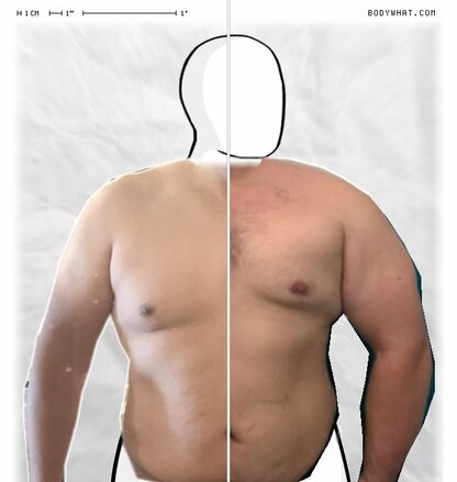 Torso Comparison