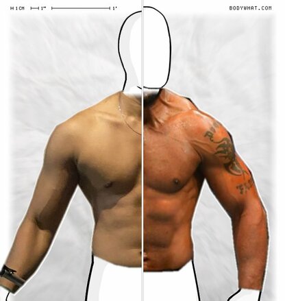 Torso Comparison