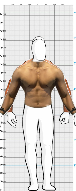 Full Size Comparison