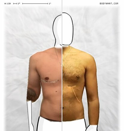 Torso Comparison