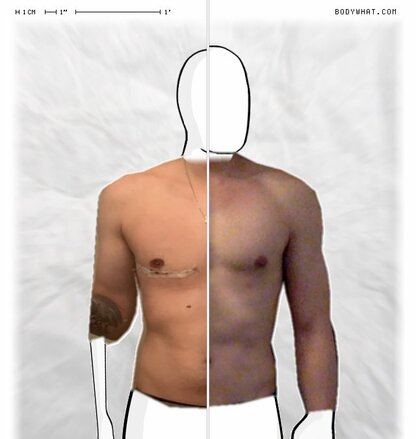 Torso Comparison