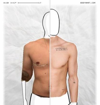 Torso Comparison