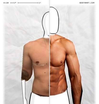 Torso Comparison