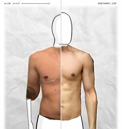 Torso Comparison