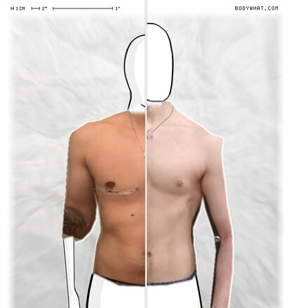 Torso Comparison