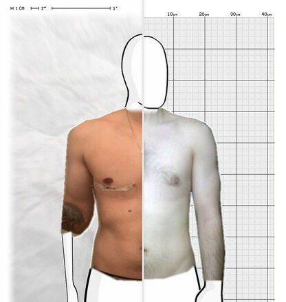 Torso Comparison