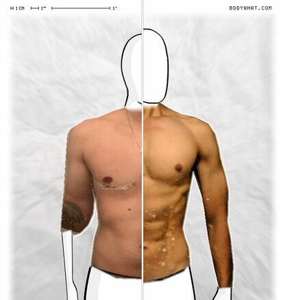 Torso Comparison