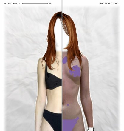Torso Comparison