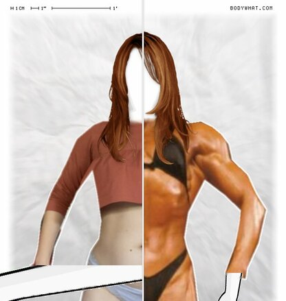 Torso Comparison