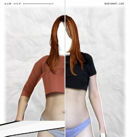 Torso Comparison