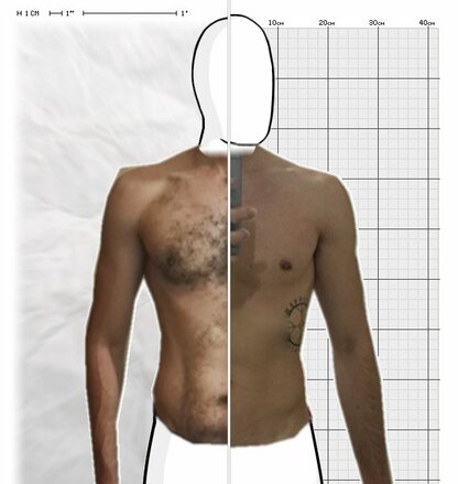 Torso Comparison