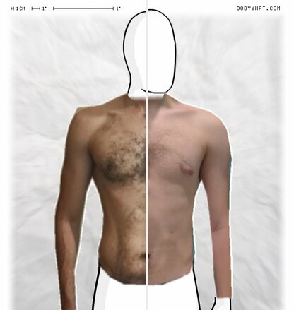 Torso Comparison