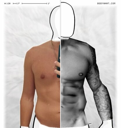 Torso Comparison