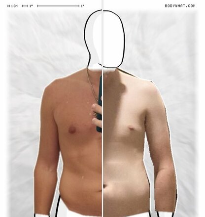 Torso Comparison