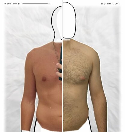 Torso Comparison