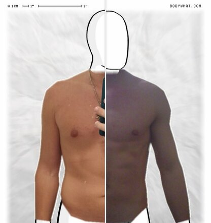 Torso Comparison