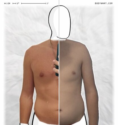 Torso Comparison