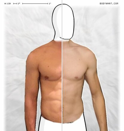 Torso Comparison