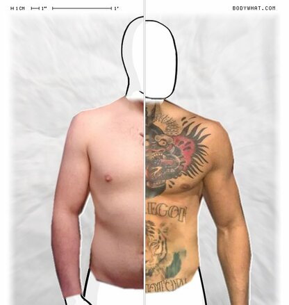 Torso Comparison