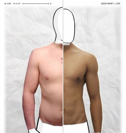 Torso Comparison