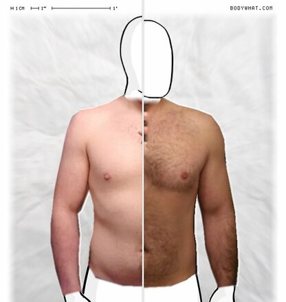 Torso Comparison