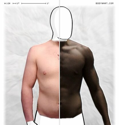 Torso Comparison