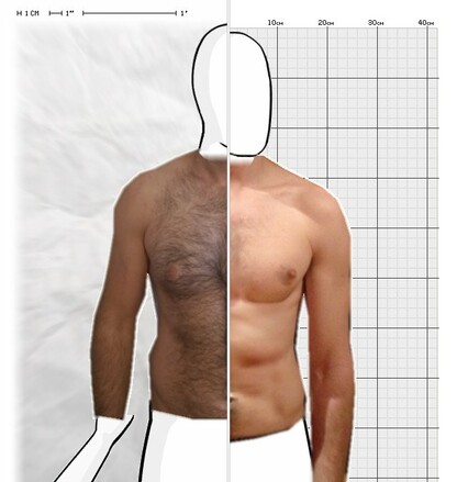 Torso Comparison