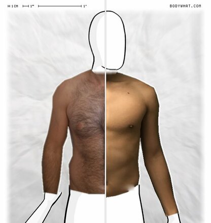 Torso Comparison