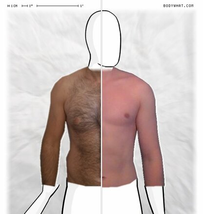 Torso Comparison