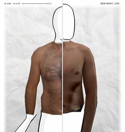 Torso Comparison