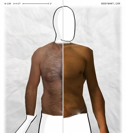 Torso Comparison