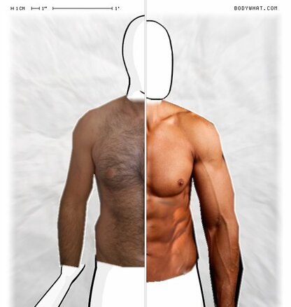 Torso Comparison