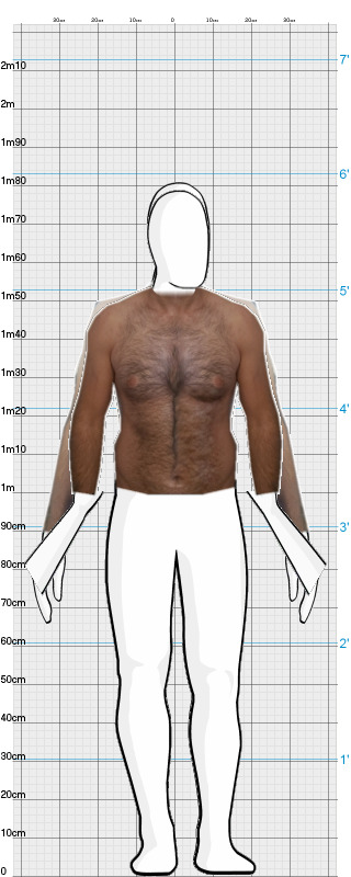 Full Size Comparison