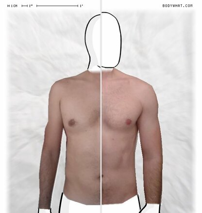 Torso Comparison