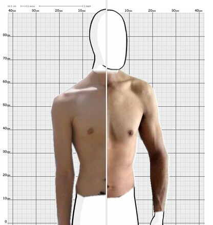 Torso Comparison
