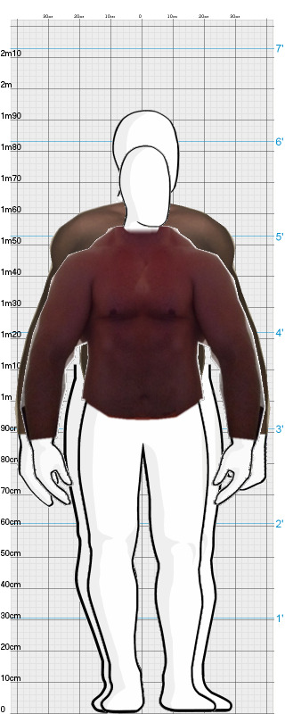 Full Size Comparison