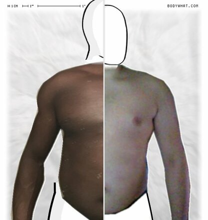 Torso Comparison