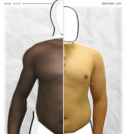 Torso Comparison