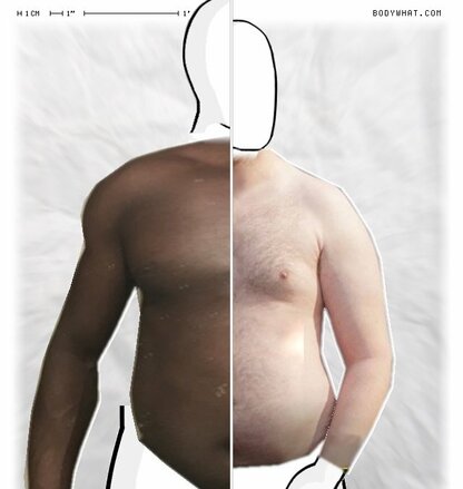 Torso Comparison