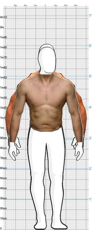 Full Size Comparison