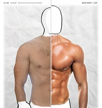 Torso Comparison