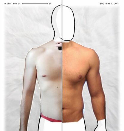 Torso Comparison