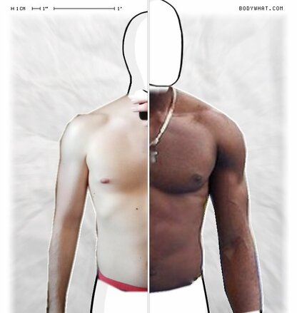 Torso Comparison