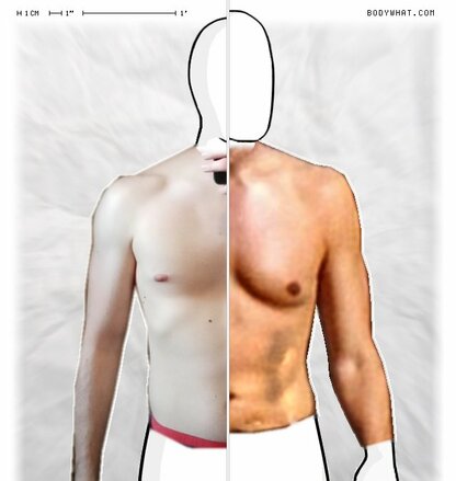 Torso Comparison