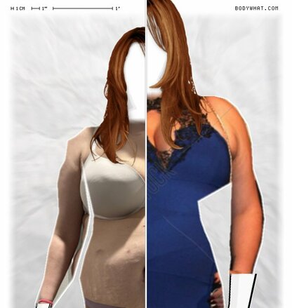 Torso Comparison