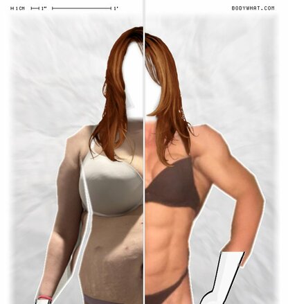 Torso Comparison