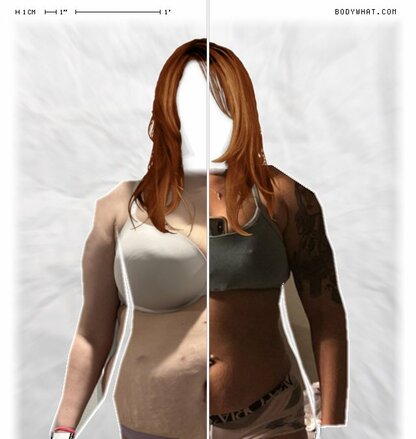 Torso Comparison