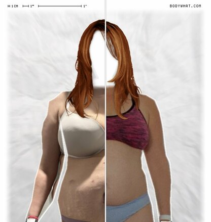 Torso Comparison