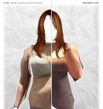 Torso Comparison