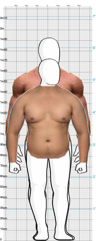 Full Size Comparison